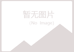 平鲁区蓝天化学有限公司